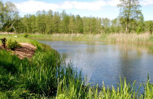 Beautiful holiday home in Masuria on river and lake - Foto 40