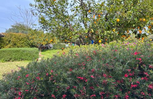 La Casetta di Lollò - Foto 54