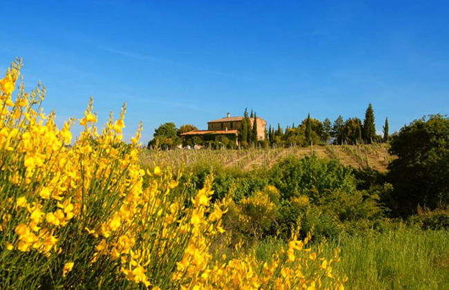 Tenuta S. Agnese - Photo 54