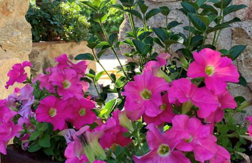 La Casita de las Hortensias - Photo 35