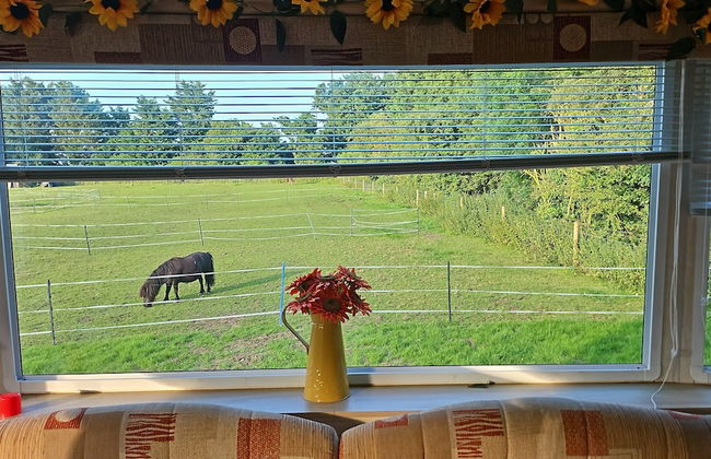 Equestrian Retreat - Sleeps 6 & Bbq - Foto 14