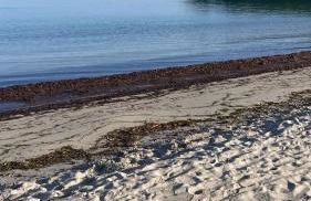 Creúsa de ma Calasetta - Foto 21