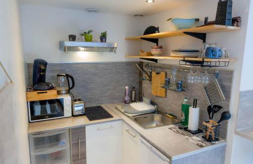 Jungle Studio - 2P à 4P -Henriville - Foto 8