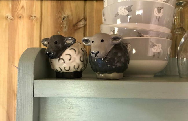 The Shepherds Hut at Hafoty Boeth - Foto 17