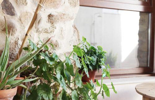 La Grulla Gris - Foto 39