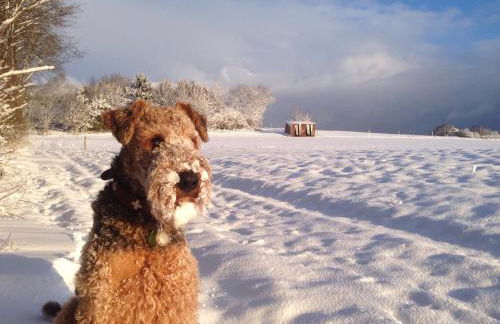 Ferienhaus Lemon Tree - Foto 81