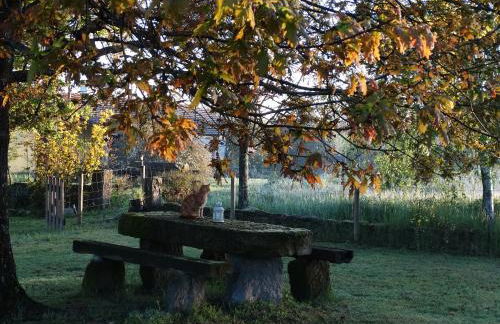 Casa das Palmeiras - Pedagogic Farm - Foto 116