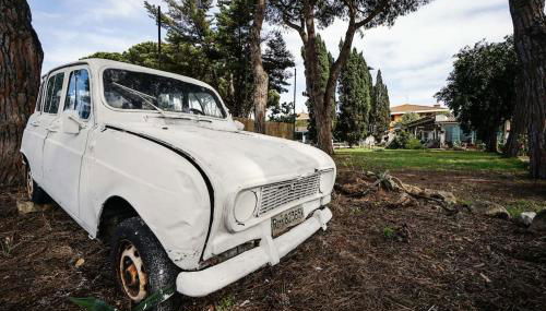 Villa Collina dei Pini - Foto 3, Garden, Garden view