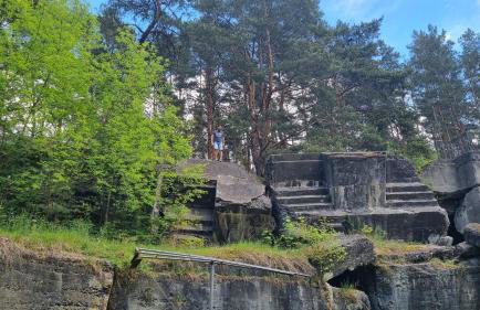 Niezapominajka - Foto 42