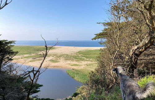 Church View, Helston Old Town - Foto 31