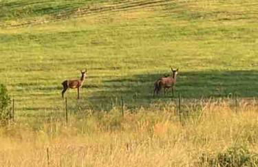 Appartement cosy rénové au calme - Foto 3