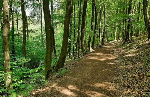 Gelbe Koffer - Design-Apartment in Schiffweiler - 2 Parkplätze - Self-Check-in - ruhig & naturnah - Foto 32