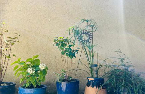 Le Clos des Pigières le Gîte de la Pierre a eau - Photo 29