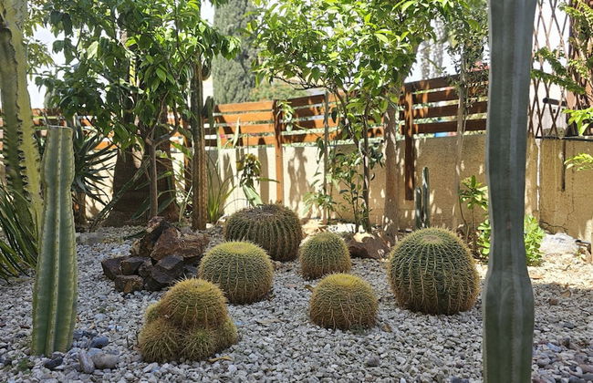 122 VOR - Stay Cactus House - Foto 59