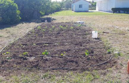 Silver villa Raches maisonette & Green - Foto 17