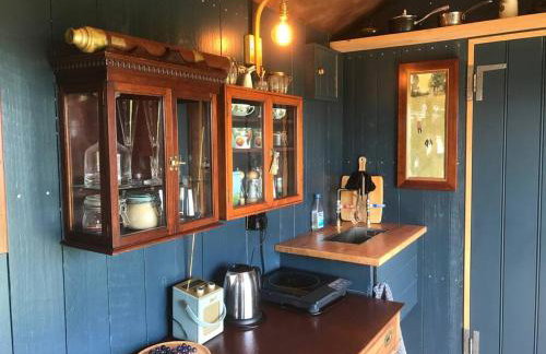 Astronomer Shepherd's hut - Foto 34