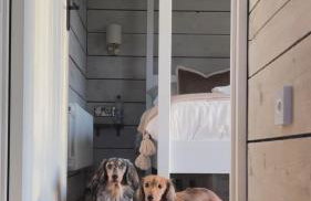 Luxury Boutique retreat, hot tub, dog friendly - Foto 56