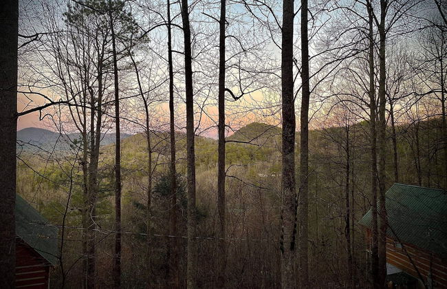 Blessed Nest - Photo 29