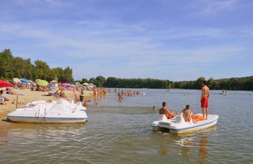 Luxury Villa in France with Pool - Foto 31