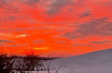 Alte Schmiede - Photo 20