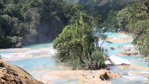 Visite de Palenque, Misol-ha et Agua Azul en espagnol - Au départ de Palenque - Photo 2