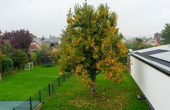 Ferienhaus Reuter - Foto 24