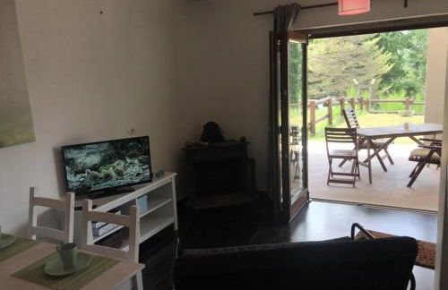 Tra il bosco e il lago - Foto 37