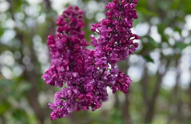 Ferienwohnung Santino - Foto 21