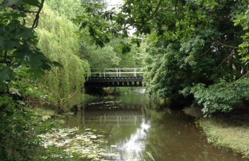 Waterside, Elmham Watermill, Norfolk - Foto 18