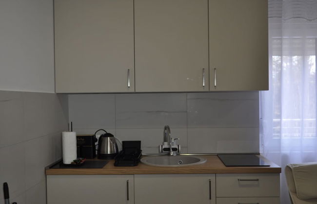 Apartmani Žabljak Hills - Foto 35