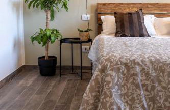 The Olive Grove in Tuscany - Foto 45