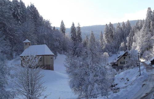 Ferienwohnung-Schoenmuenzblick-Urlaub-im-Nationalpark-Schwarzwald-Schwarzwald-Plus-inklusive - Photo 30