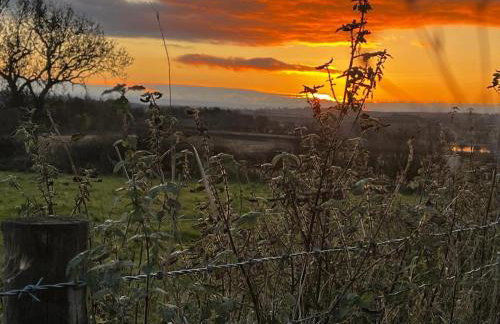 Cosy romantic shepherd hut in open countryside - Foto 21