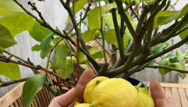 Charmantes Altstadthaus mit Dachterrasse - Foto 3