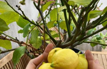 Charmantes Altstadthaus mit Dachterrasse - Foto 3