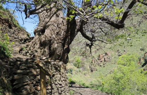 Precioso apartamento cerca de Sierra Nevada - Foto 15