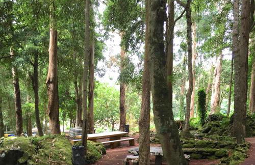 OceanFront Studio - Casa Santo Antonio - Photo 57