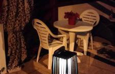 à l'orée du bois - Photo 27