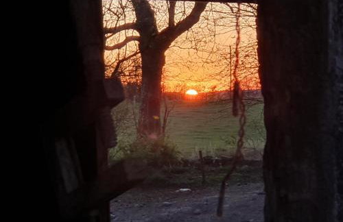 Ferienwohnung Haloi - Photo 18