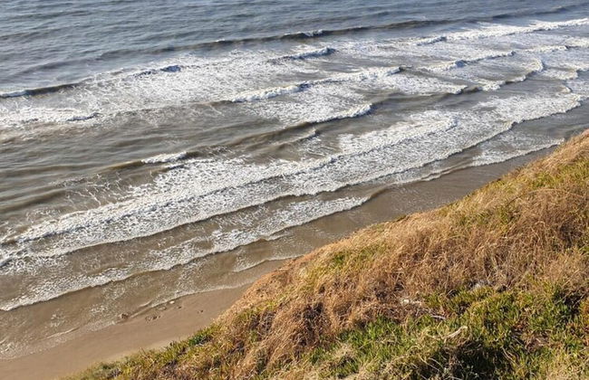 The sunset suit - Foto 44