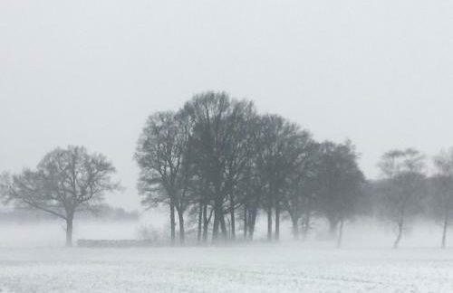 Little Cottage - Foto 52