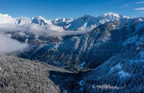 Appartement au pied des pistes - Vue imprenable - Foto 14