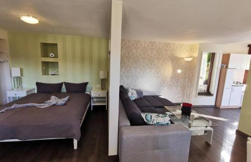 Apartments Villa-Ratskopf Wernigerode - Photo 121