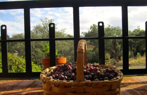 Apartamentos Rurales La Macera **** - Foto 63