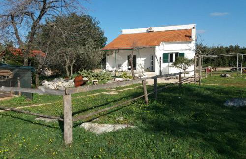 Hvar Mediterranean Ranch House - Foto 48