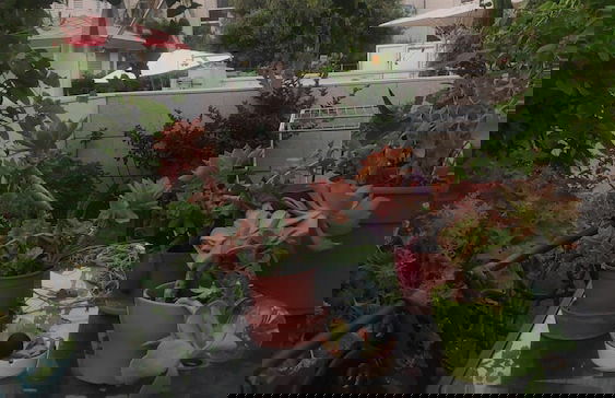 Israel Marina Village rent apartment - Photo 35