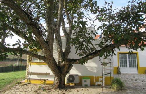 Quintal do Freixo - Country House - Photo 30