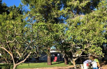 Villa Valentina - Foto 58