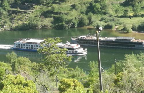 Douro Valley-Casa do Vimieiro - Foto 26