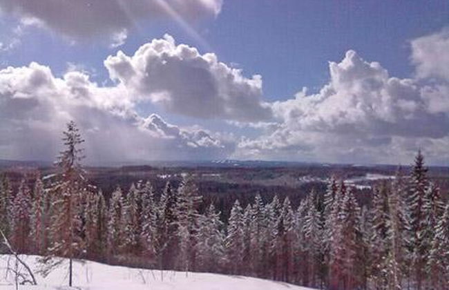 Villa savonia - Foto 21